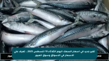 تغير جديد في أسعار السمك اليوم الثلاثاء 19 أغسطس 2025.. تعرف على الأسعار في الأسواق وسوق العبور